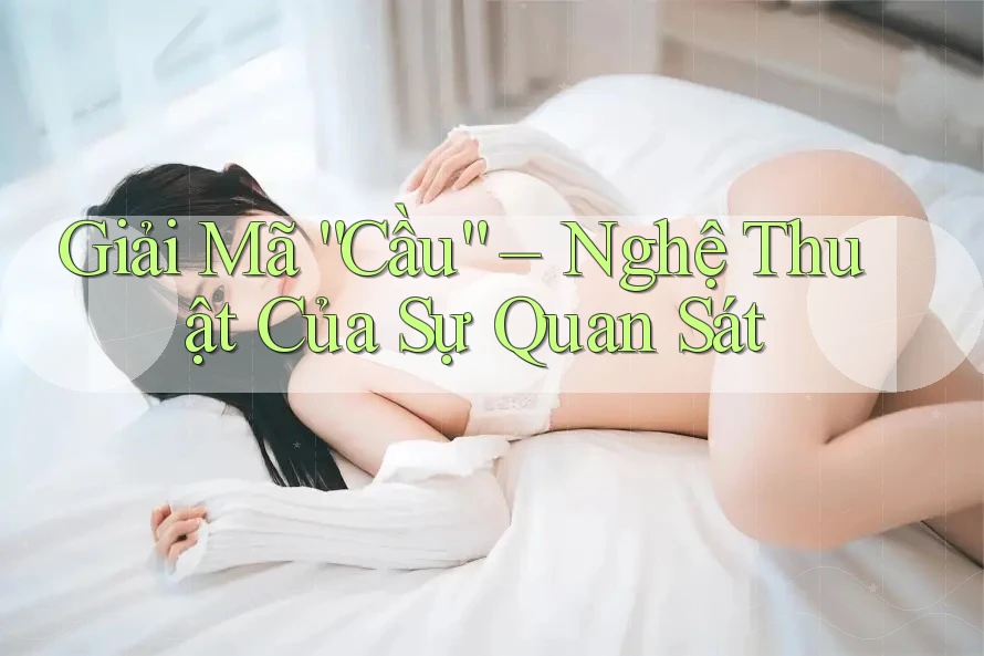 Giải Mã “Cầu” – Nghệ Thuật Của Sự Quan Sát