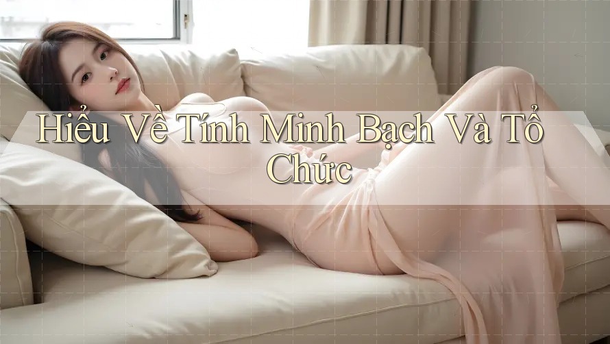 Hiểu Về Tính Minh Bạch Và Tổ Chức Hiểu Về Tính Minh Bạch Và Tổ Chức