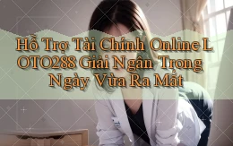 hỗ trợ tài chính online loto288 giải ngân trong ngày vừa ra mắt