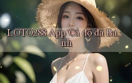 loto288 app cá độ đá banh