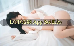 loto288 app soi kèo