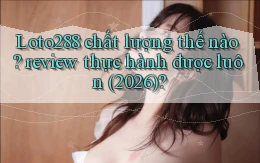 Loto288 chất lượng thế nào review thực hành được luôn (2026)