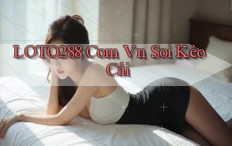 loto288 com vn soi kèo cái