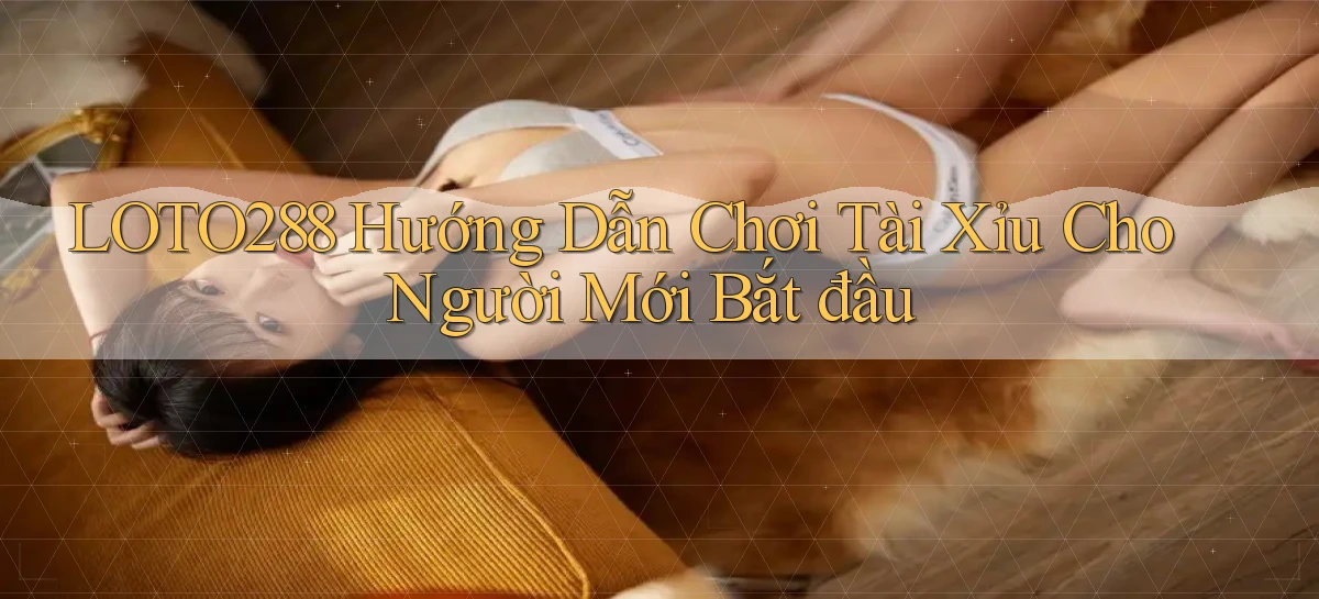 loto288 hướng dẫn chơi tài xỉu cho người mới bắt đầu
