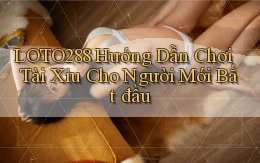 loto288 hướng dẫn chơi tài xỉu cho người mới bắt đầu