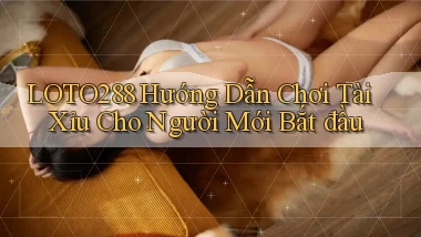 loto288 hướng dẫn chơi tài xỉu cho người mới bắt đầu