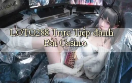 loto288  trực tiếp đánh bài casino