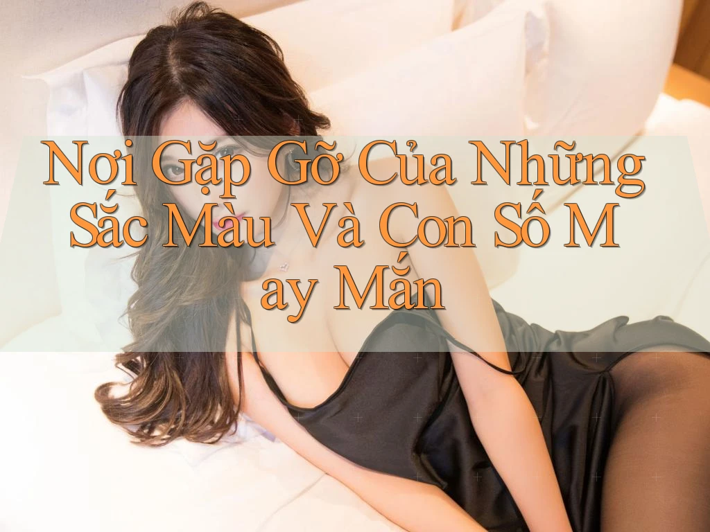 Nơi Gặp Gỡ Của Những Sắc Màu Và Con Số May Mắn