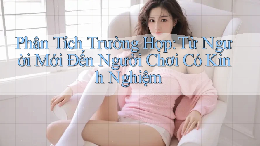 Phân Tích Trường Hợp: Từ Người Mới Đến Người Chơi Có Kinh Nghiệm Phân Tích Trường Hợp: Từ Người Mới Đến Người Chơi Có Kinh Nghiệm