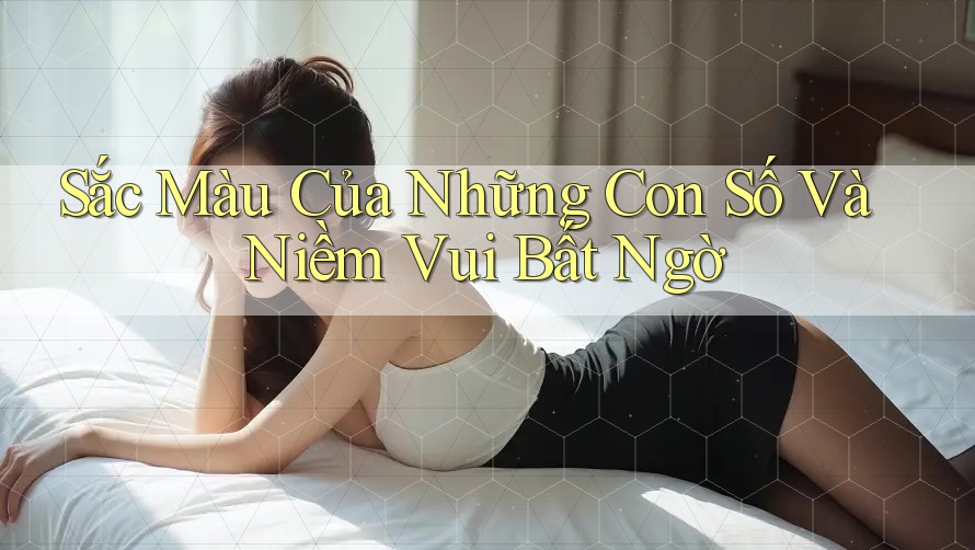 Sắc Màu Của Những Con Số Và Niềm Vui Bất Ngờ