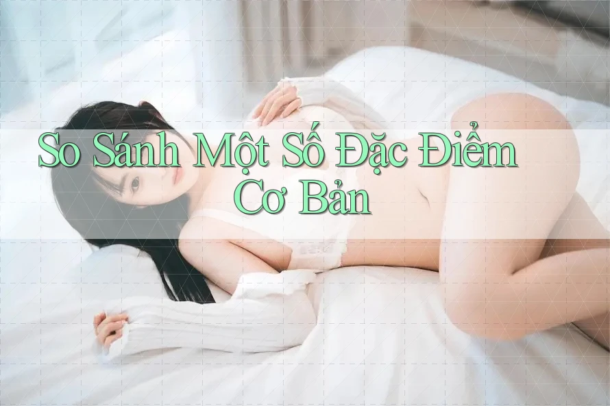 So Sánh Một Số Đặc Điểm Cơ Bản