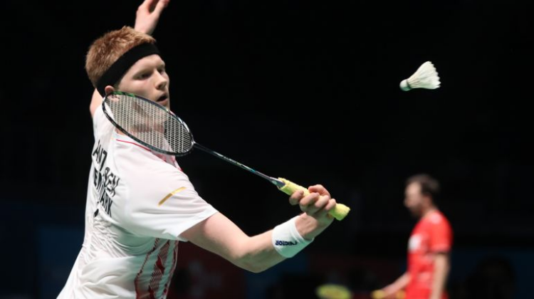 希望延续这 希望延续这